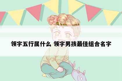 领字五行属什么 领字男孩最佳组合名字