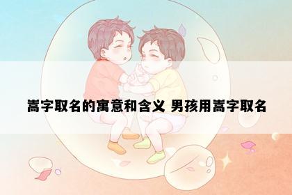 嵩字取名的寓意和含义 男孩用嵩字取名