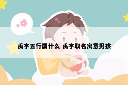 禹字五行属什么 禹字取名寓意男孩