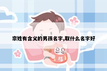宗姓有含义的男孩名字,取什么名字好