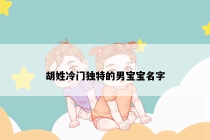 胡姓冷门独特的男宝宝名字