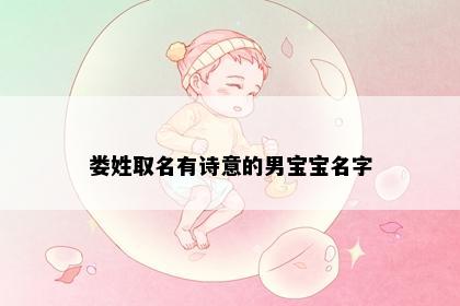 娄姓取名有诗意的男宝宝名字
