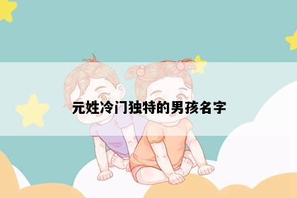 元姓冷门独特的男孩名字