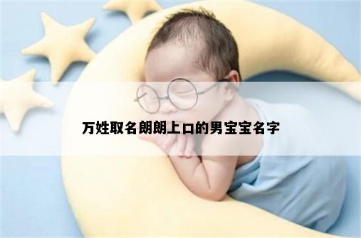 万姓取名朗朗上口的男宝宝名字